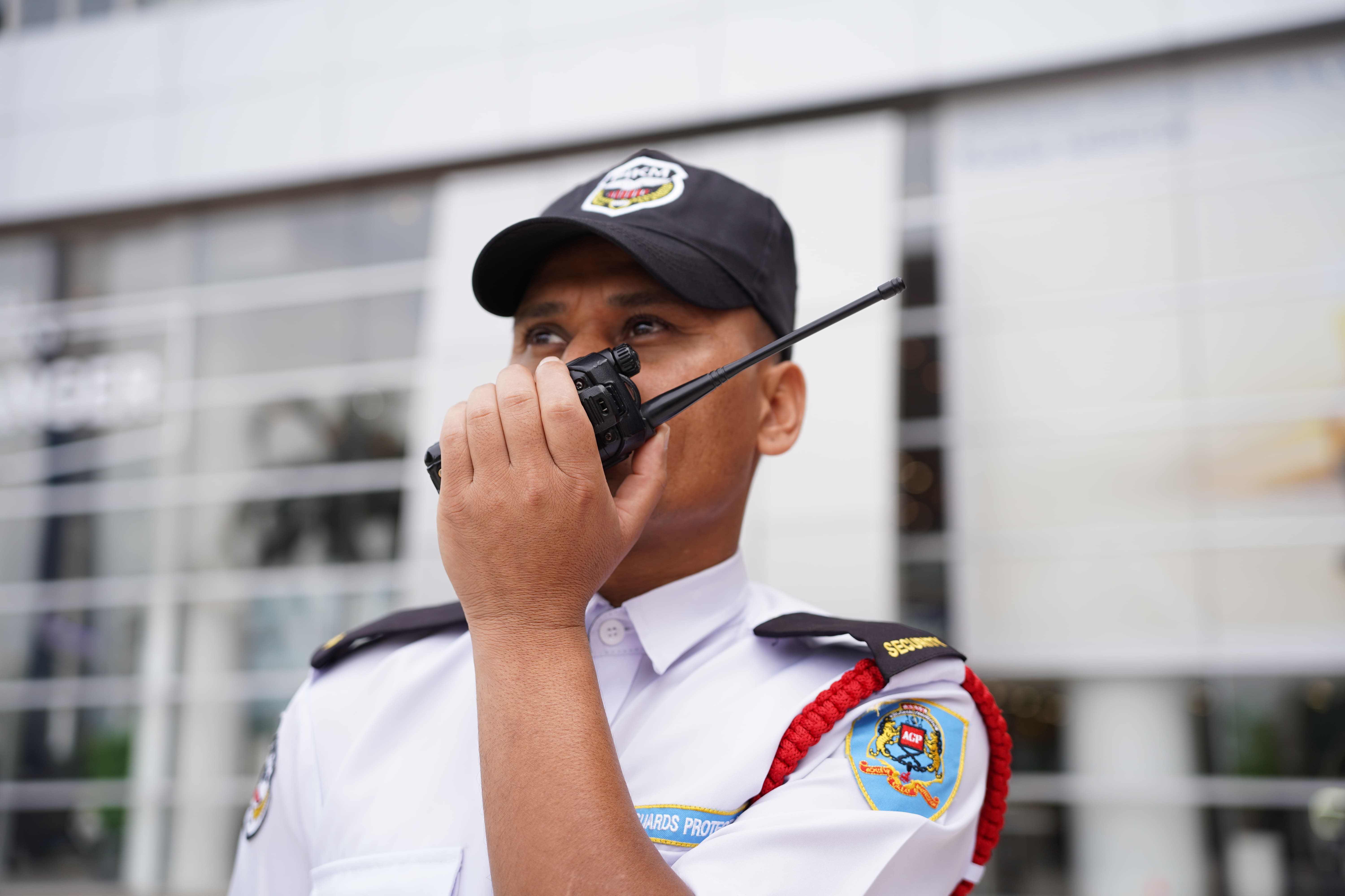 AGP security services